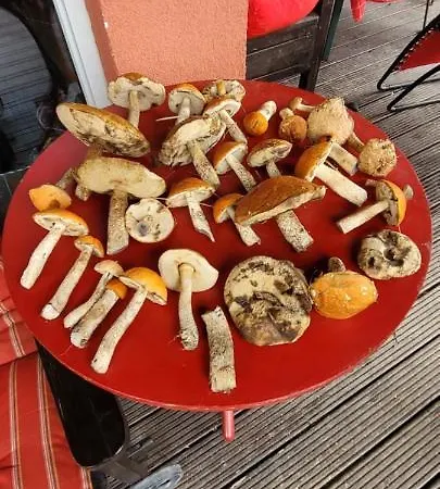 Stanica Pod Zadzierna Caloroczne 샬레 우바브카