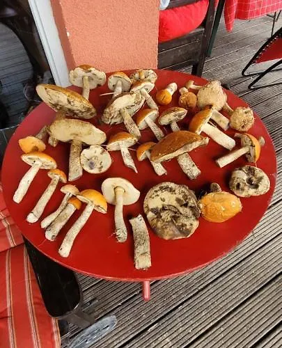 Stanica Pod Zadzierna Caloroczne Alpstuga Lubawka